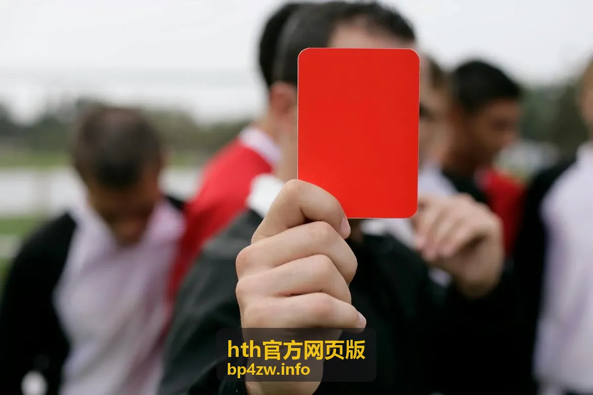 hth官方网页版安全防护机制示意